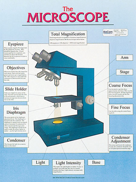 microscope